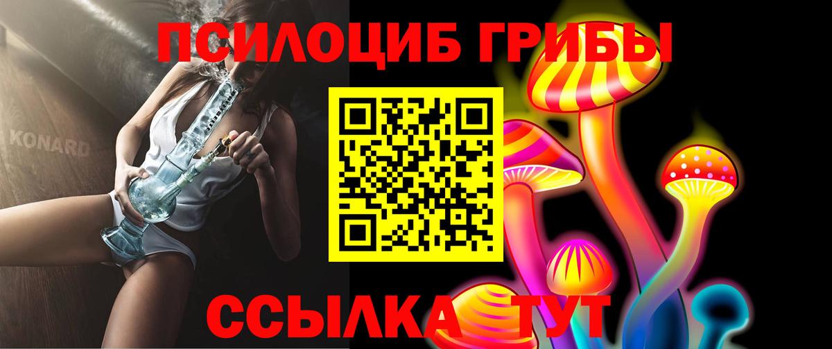 Псилоцибиновые грибы GOLDEN TEACHER  Вход с VPN  Медногорск  Псилоцибиновые грибы мухоморы 
